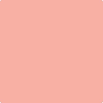 003 Pink Paradise