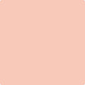 024 Coral Buff