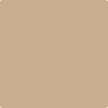 1123 Palm Desert Sand