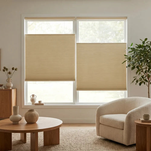 A cozy living room featuring Beige (Tussah) 1 2 Inch Budget Single Cell Blackout Cordless Top Downbottom Up Shades, ensuring complete darkness while allowing adjustable top-down views.