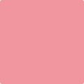 1334 Pretty in Pink