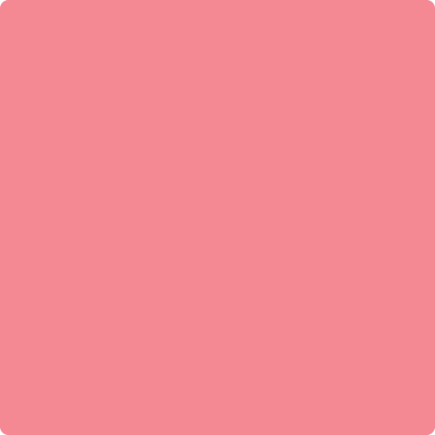 2002-40 Flamingo's Dream