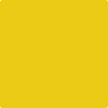 2023-10 Yolk