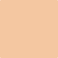 Benjamin Moore Color 2166-50 Creamy Orange