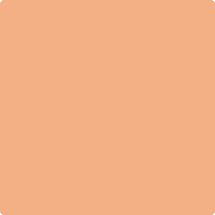 Benjamin Moore Color 2167-40 Toffee Orange