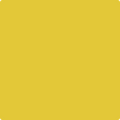 357 Yellow Hibiscus
