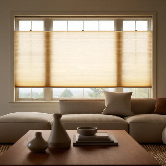 Single 3 8 Budget Single Cell Light Filtering Top Downbottom Up Shades installed in a modern living space, providing a warm ambient glow with customizable shade positioning.