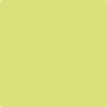 396 Chic Lime