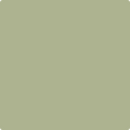 481 Dill Weed