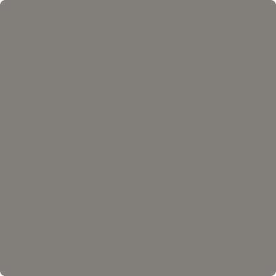 CC-548 Asphalt Paint Brush Mock Up