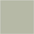 Benjamin Moore Color CC-550 October Mist
