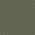 Benjamin Moore Color CC-570 Forest Floor