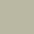 Benjamin Moore Color CC-698 Killarney