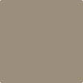 Benjamin Moore Colour CSP-135 Worn Leather Shoes