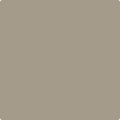 Benjamin Moore Colour CSP-165 Downtown