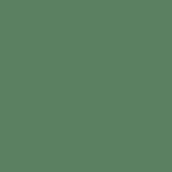CW-525 Raleigh Green a Benjamin Moore paint color from the Williamsburg Color Collection.