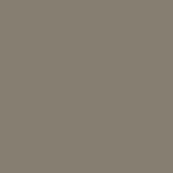 CW-75 Randolph Stone a Benjamin Moore paint color from the Williamsburg Color Collection.