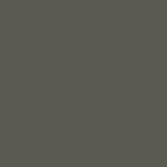 CW-85 Randolph Gray a Benjamin Moore paint color from the Williamsburg Color Collection.