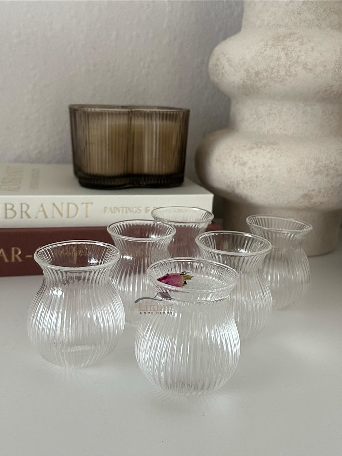 MLX Ribbled Tombik Borosilikat Borrelglas 6 Delig 100 ML