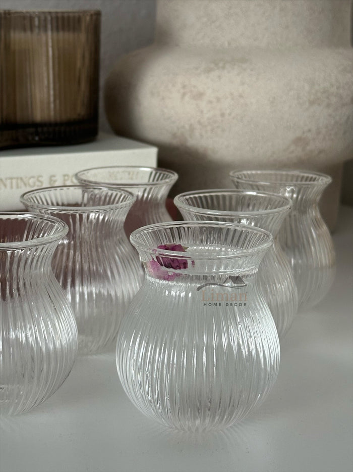 MLX Ribbled Tombik Borosilikat Borrelglas 6 Delig 100 ML